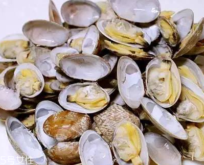 文蛤能做湯嗎？文蛤怎么做湯？