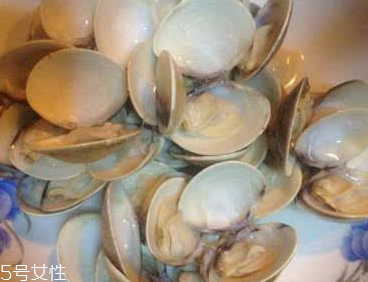 文蛤能給孕婦吃嗎？孕婦能不能吃文蛤？