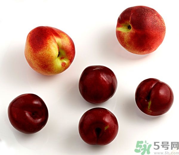 李子和灰子的區(qū)別？灰子的功效與作用