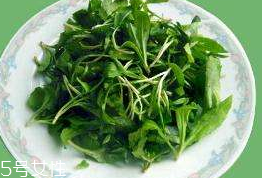 馬蘭頭對(duì)人的好處？馬蘭頭有什么好處？