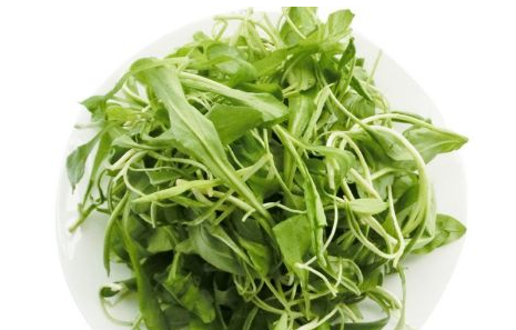 馬蘭頭是馬齒莧嗎？馬蘭頭和馬齒莧的區(qū)別