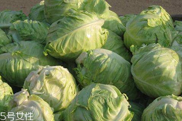 牛心菜是卷心菜嗎？牛心菜和卷心菜的區(qū)別
