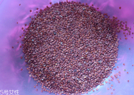 海藻面膜的功效與作用 用海藻面膜有什么好處？