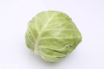 牛心菜是包菜嗎？牛心菜和包菜的區(qū)別