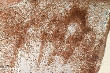 海藻面膜會(huì)發(fā)芽嗎？真的海藻面膜會(huì)發(fā)芽嗎？
