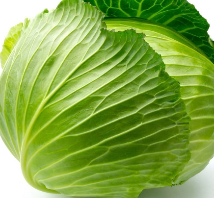 牛心菜能多吃嗎？牛心菜吃多了會怎樣？