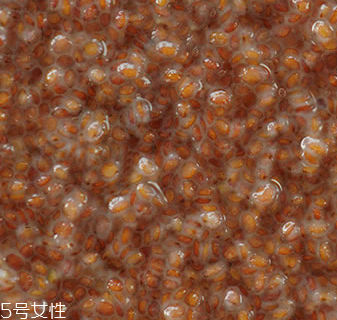 海藻面膜能加蜂蜜嗎？蜂蜜和海藻做面膜好嗎？
