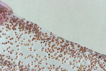 海藻面膜可以加維生素e嗎？海藻加維生素e可以用嗎？