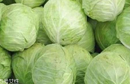 牛心菜是寒性還是熱性？牛心菜是寒性的嗎？