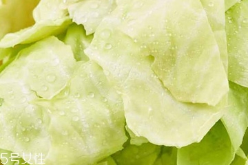 牛心菜是寒性還是熱性？牛心菜是寒性的嗎？
