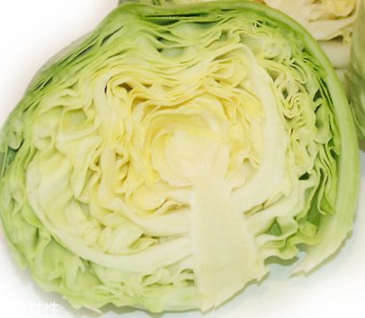 牛心菜是酸性還是堿性？牛心菜是酸性的嗎？