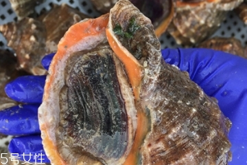 海螺開水還是冷水下鍋？海螺冷水還是熱水煮？