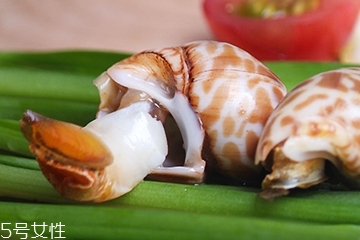海螺能和西瓜一起吃嗎？海螺和西瓜能同食嗎？
