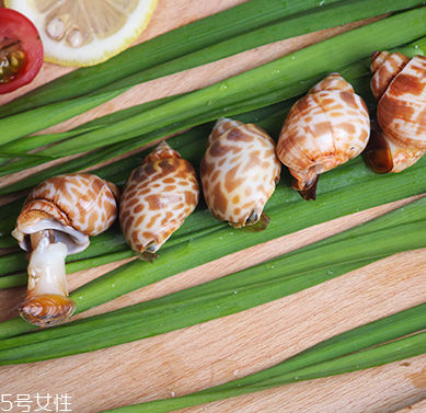 海螺能和西瓜一起吃嗎？海螺和西瓜能同食嗎？