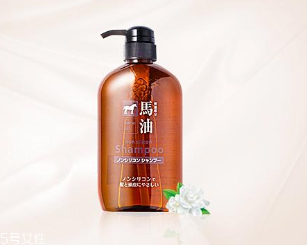 馬油洗發(fā)水是哪里產(chǎn)的？馬油洗發(fā)水是哪國的？