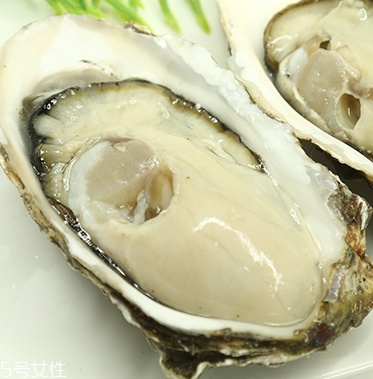 生蠔是蒸還是煮？生蠔蒸好吃還是煮好吃？