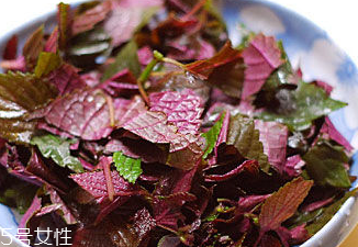 紫蘇葉能治皮膚過敏嗎？