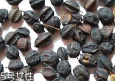 刺五加怎么吃？刺五加有什么用？
