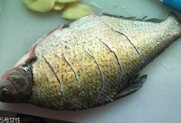 鳊魚(yú)有魚(yú)腥線(xiàn)嗎 淡水魚(yú)一般都有