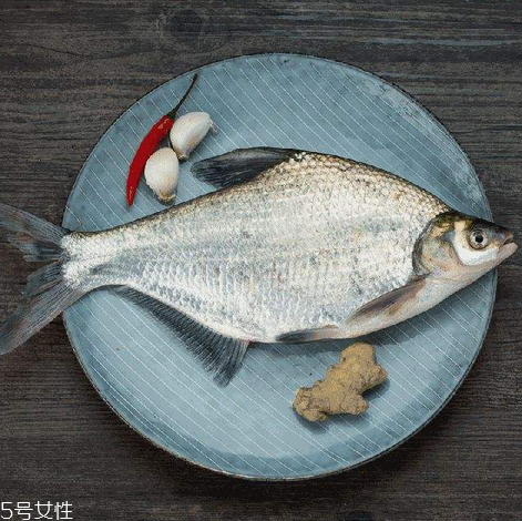 鳊魚(yú)有魚(yú)腥線(xiàn)嗎 淡水魚(yú)一般都有