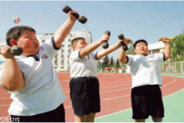應(yīng)該注意小孩脂肪和膽固醇的攝取量嗎？
