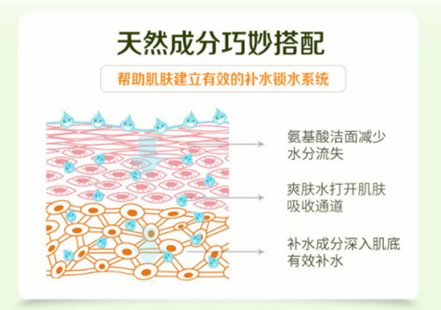 種草綠色農場，輕松擁有逆齡肌