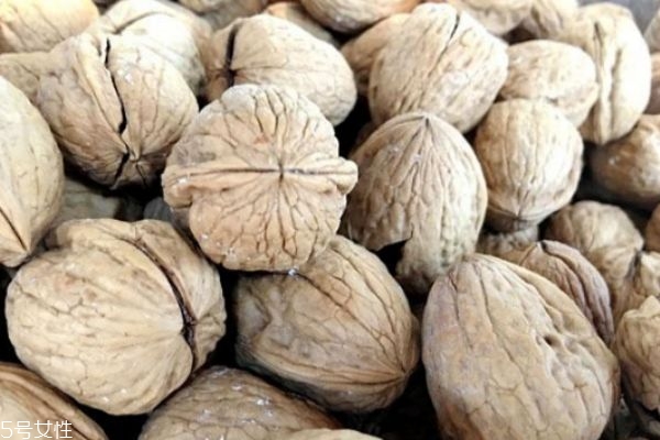 核桃營養(yǎng)價(jià)值及其食療功效分析