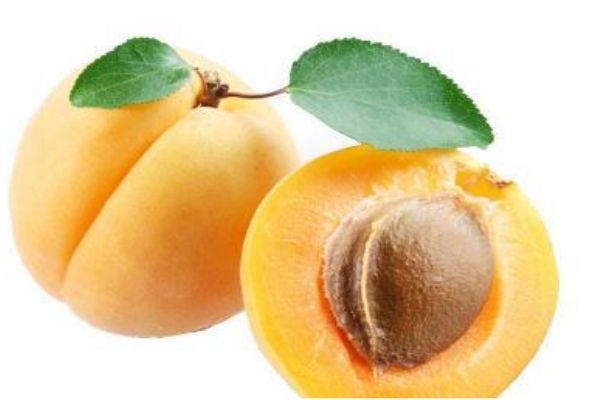 杏子和青梅的區(qū)別 青梅的營養(yǎng)價(jià)值