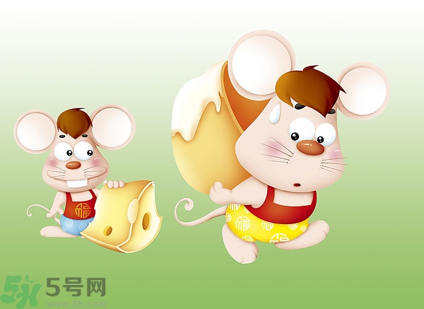 吃奶酪會(huì)過敏嗎？芝士是發(fā)物嗎？