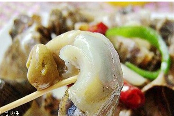 海螺生活在哪里呢 海螺有什么營養(yǎng)價(jià)值嗎
