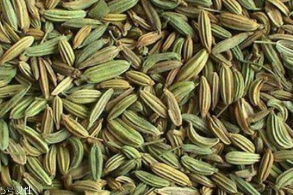 什么是小茴香呢 小茴香有什么營(yíng)養(yǎng)價(jià)值呢 