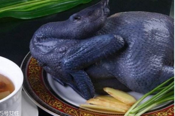 什么是烏骨雞呢 烏骨雞有什么營養(yǎng)價(jià)值呢