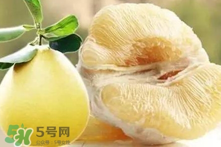 蜜柚是哪個(gè)季節(jié)的水果？蜜柚和沙田柚的區(qū)別是什么？