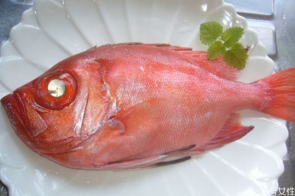 魚眼睛有什么營(yíng)養(yǎng)價(jià)值呢 吃魚眼睛對(duì)人眼有好處嗎