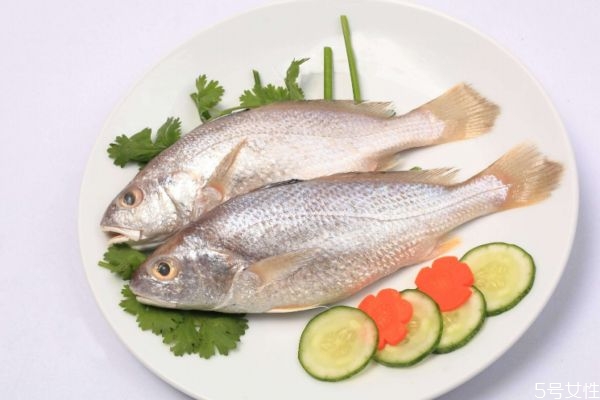 什么是白姑魚呢 白姑魚有什么營養(yǎng)價(jià)值呢