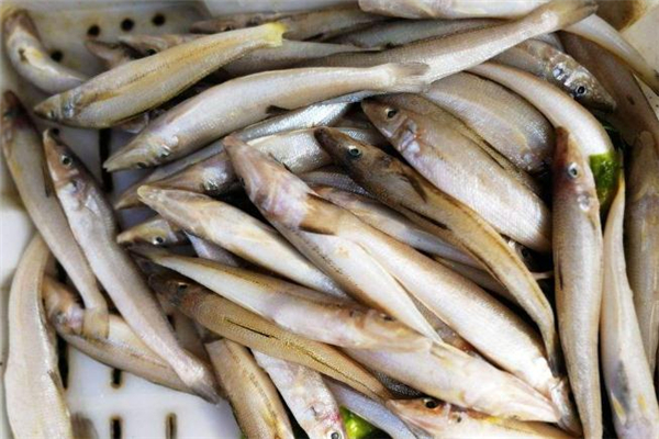 沙丁魚(yú)什么人不適合吃 糖尿病能吃沙丁魚(yú)嗎