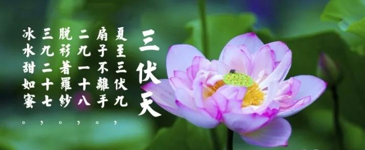 三伏天是什么？三伏天應(yīng)注意什么？