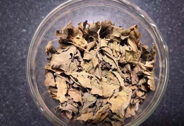 喝桑葉茶能減肥嗎?有什么副作用？