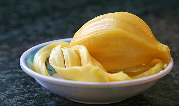 菠蘿蜜核的功效與作用、禁忌和食用方法