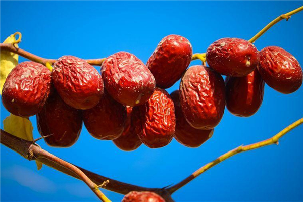 紅棗會(huì)升高血糖嗎 紅棗糖尿病人可以吃嗎