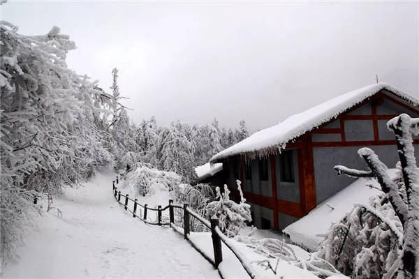 下雪一般是在什么節(jié)氣 下雪是什么時候