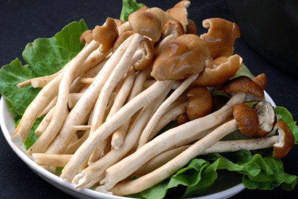 茶樹(shù)菇煮多久才算熟了 茶樹(shù)菇怎么做好吃