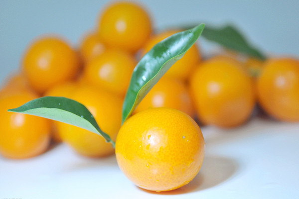 金桔的營(yíng)養(yǎng)價(jià)值 金桔能和蜂蜜一起吃嗎