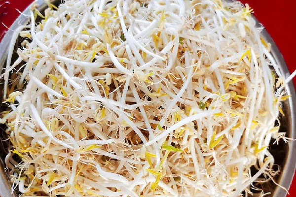 綠豆芽吃不完怎么儲存 綠豆芽放的有點(diǎn)變色能吃嗎