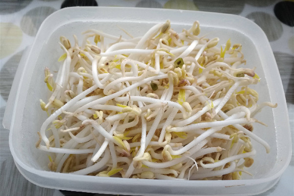 綠豆芽吃不完怎么儲存 綠豆芽放的有點(diǎn)變色能吃嗎