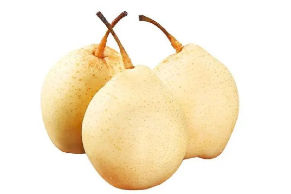 雪梨多少錢(qián)一斤 雪梨是哪里產(chǎn)的