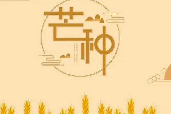 芒種是夏季的第幾個節(jié)氣 芒種屬于哪個季節(jié)