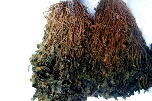 梅干菜有點(diǎn)發(fā)霉了還能吃嗎 梅干菜怎么保存時(shí)間長