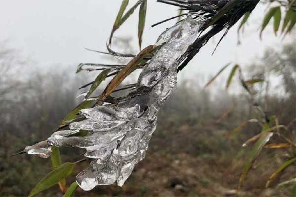 2023年來(lái)最強(qiáng)雨雪上線(xiàn) 雨雪天氣是什么造成的